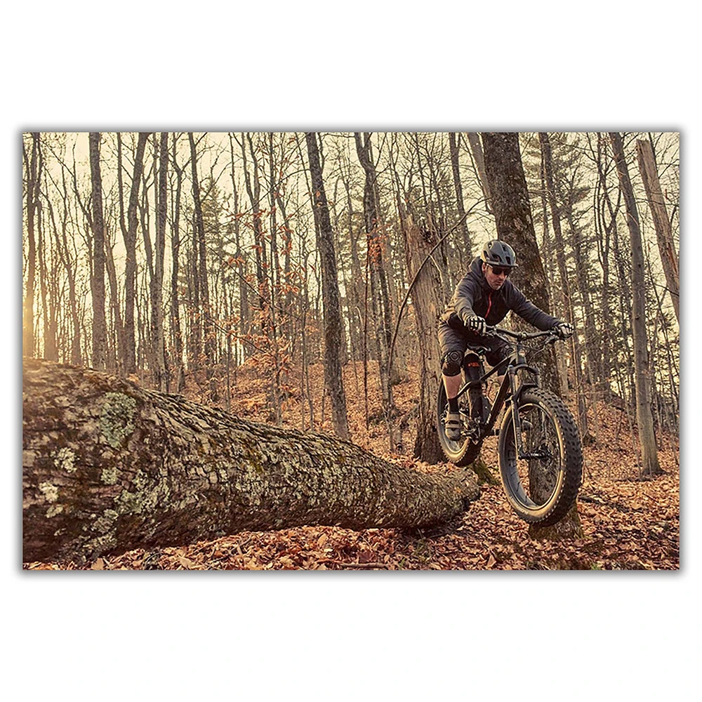 Sp082 cartaz de parede de pano - Mountain Biking Movies avaliação e preço
