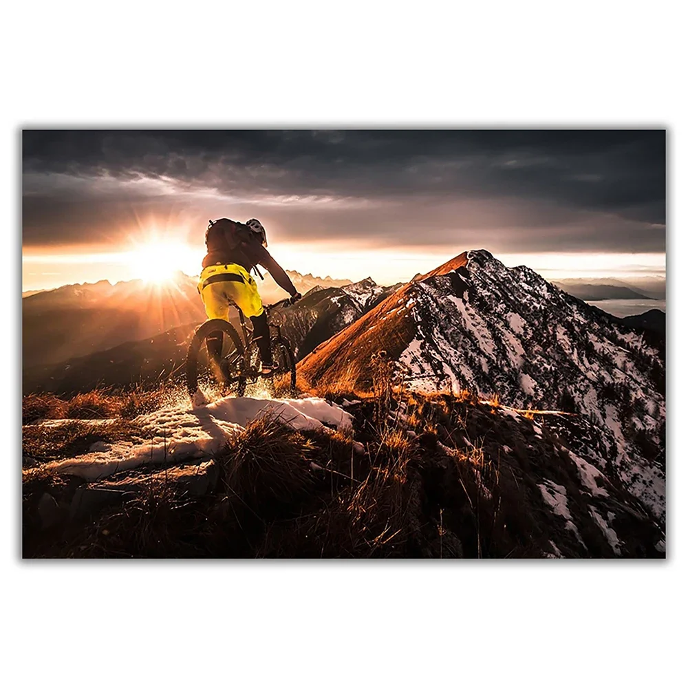 Sp080 cartaz de parede de pano - Mountain Biking Movies avaliação e preço